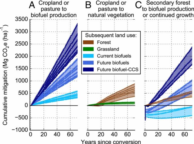 Here's how carbon storage accumulates for different techniques, depending on the land type used.