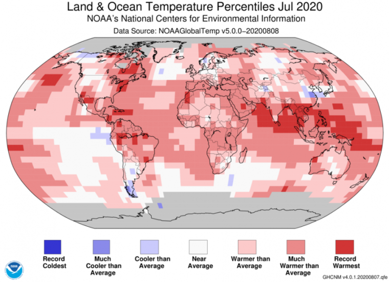 July was a hot one, but here’s what NOAA sees ahead for the US