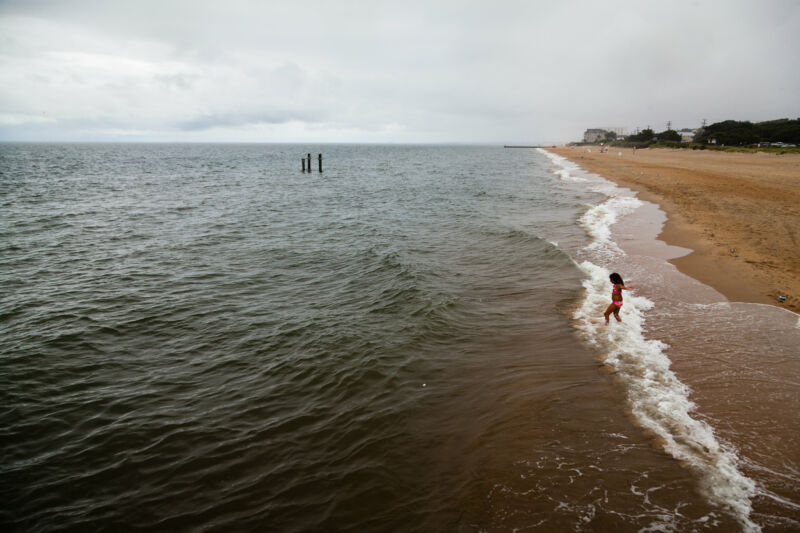 Photograph Of Bathers Dwarfed By Enormous Beach.