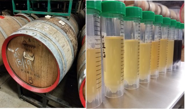 Beer samples (right) were collected every two to three weeks to track changing concentrations of organic acids and trace components during aging in barrels (left).