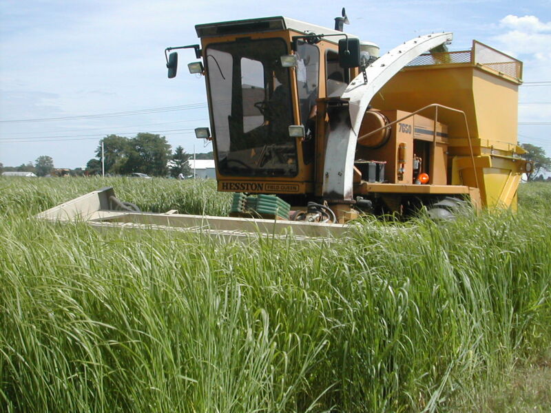 How much switchgrass could we grow for biofuels?