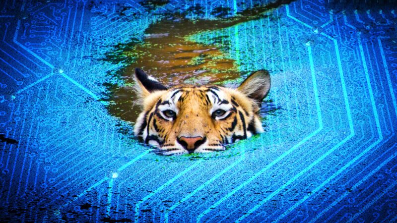 A tiger appears to swim through a microchip.