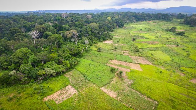 Bokito, Cameroon