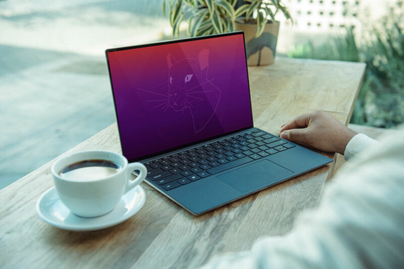 Ubuntu will be available and supported even for XPS 13s, which weren