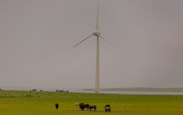 Windmills like this one provide 100 percent of the electricity grid which services residents of the Orkney Islands—a cable from that grid also supplied power to the <em>Northern Isles</em>, in addition to tidal turbines and wave energy converters.
