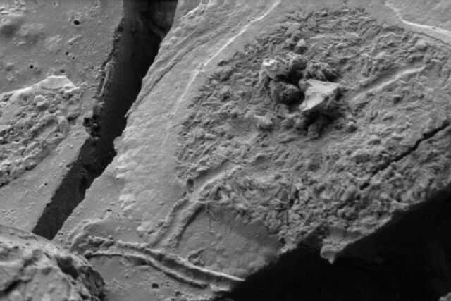 Using scanning electron microscopy (SEM), forensic archaeologists believe they found evidence of human neurons in the remains of one of the victims of the eruption of Mt. Vesuvius in AD 79.