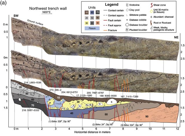 Here's one wall of the trench across the fault, with the layer relationships identified by the researchers.