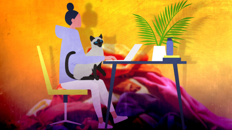 A cartoon portrays a woman working at a laptop with a curious cat in her lap.