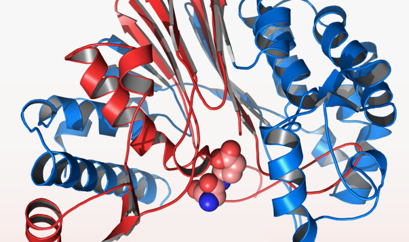 DeepMind AI handles protein folding, which humbled previous software - Ars Technica