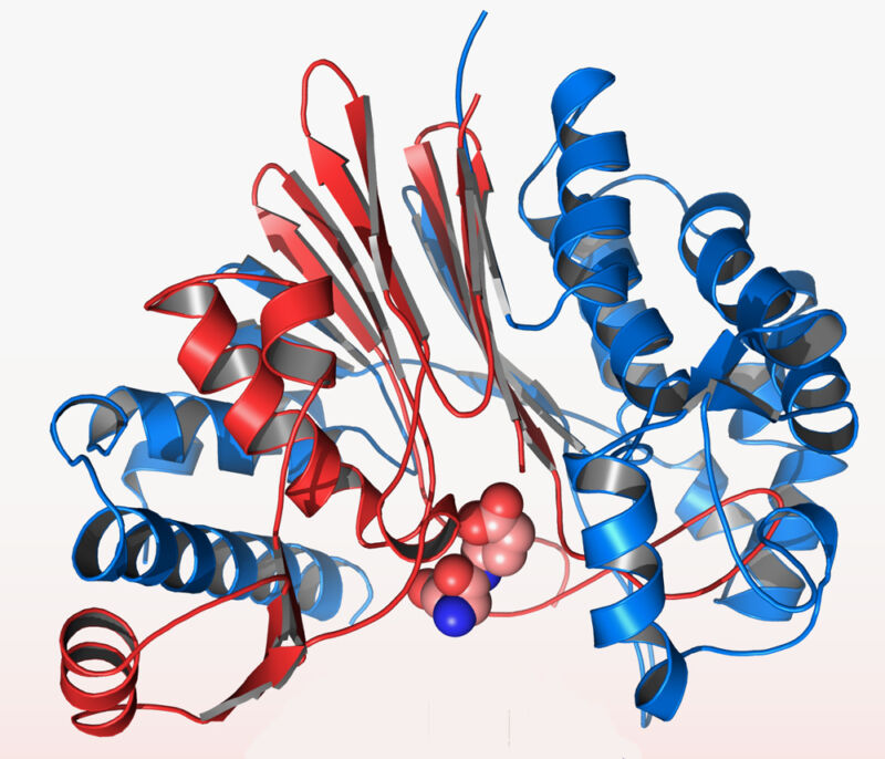 Proteins rapidly form complicated structures which had proven difficult to predict.