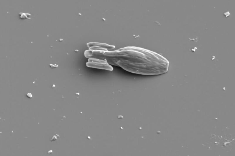 SEM image of a 3D-printed microscopic version of the USS <em>Voyager</em>, a fictional Intrepid class starship from the Star Trek franchise. Studying such objects could lead to tiny robots for targeted drug delivery, among other applications.