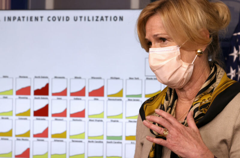 Image of a woman speaking in front of charts.