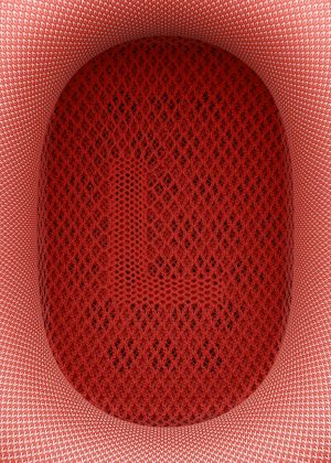 AirPods Pro pads