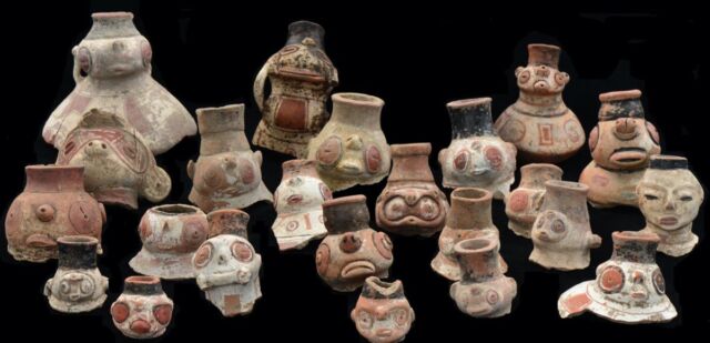 Some archaeologists pointed to dramatic shifts in Caribbean pottery styles as evidence of new migrations. But genetics show all of the styles were created by one group of people over time. These effigy vessels belong to the Saladoid pottery type, ornate and difficult to shape.