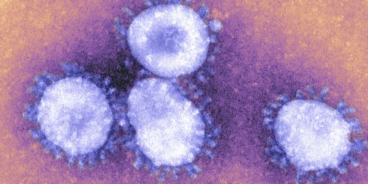 Coronavirus variants: what they do and how worried you should be