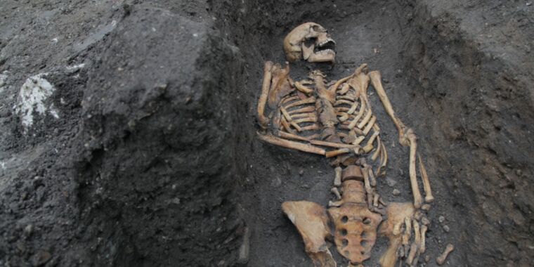 Written in the bones: Medieval skeletons tell story of social inequality in Cambridge thumbnail