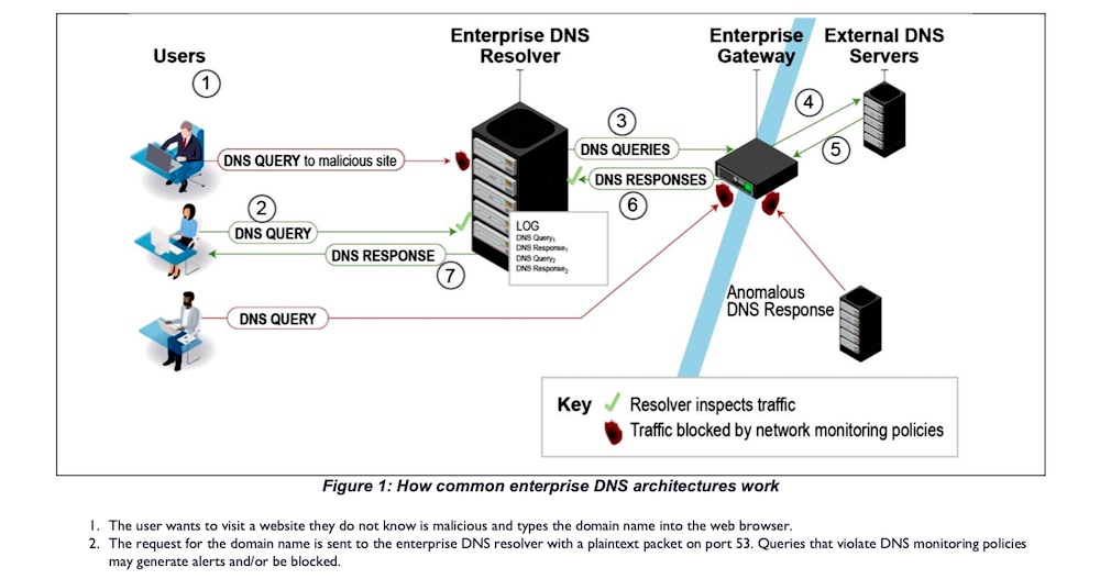 Dns com порт. DNS Port. DNS резолвер что это. Системный резолвер что это. Query Port что это.