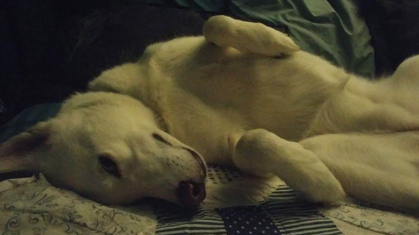 zoe-sleep-1440x810.jpg