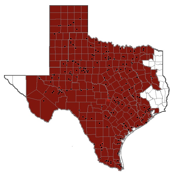 The map of the areas served by ERCOT. By not extending across the borders to other states, Texas has limited the federal regulation of its grid.