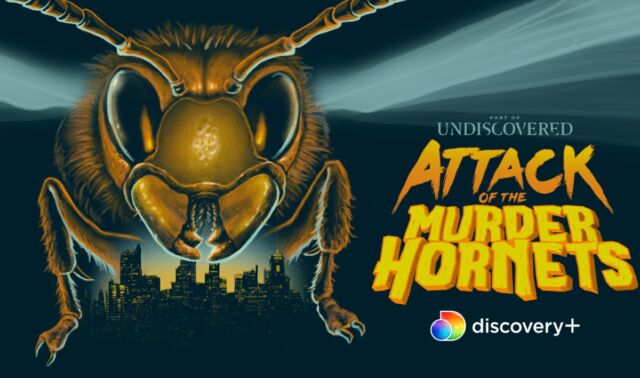 <em>Attack of the Murder Hornets</em> is a nature documentary viewed through the lens of science fiction and horror.