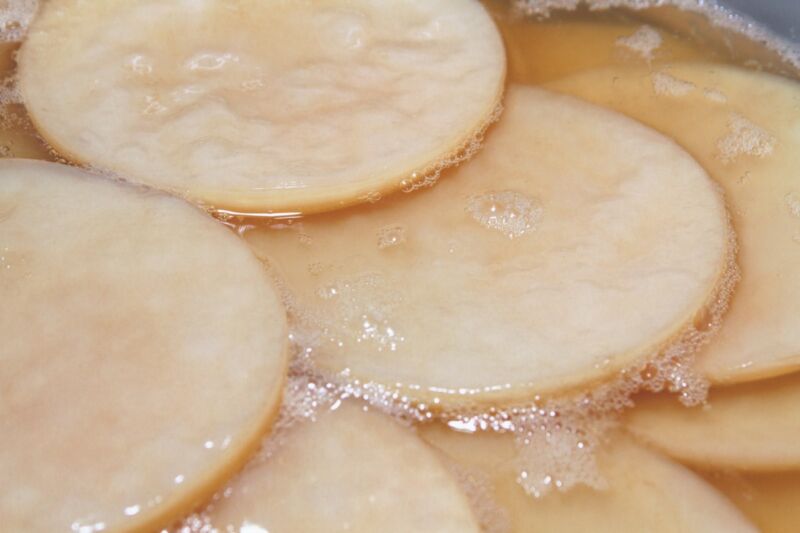 Close-up of fresh SCOBY
