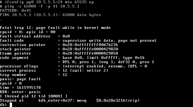 ping panics kernel