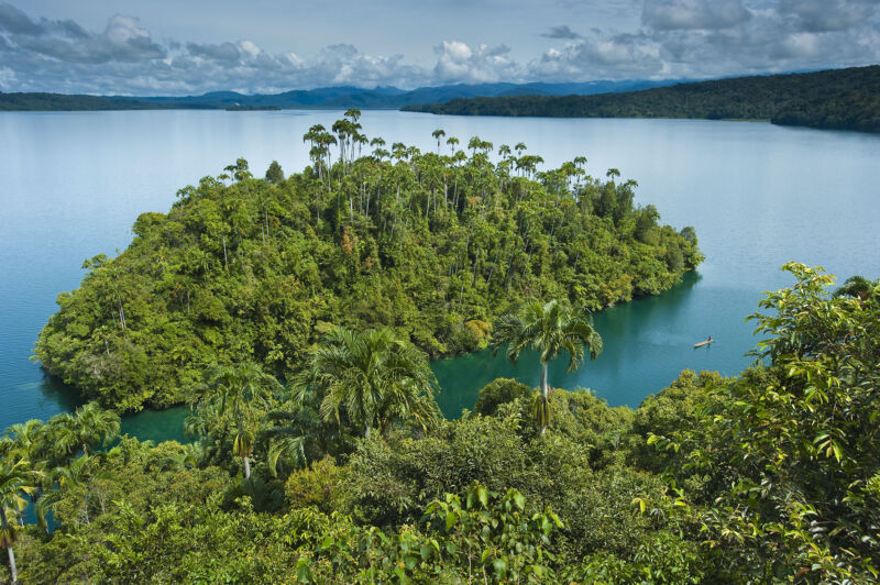 Image of a forest-covered island.
