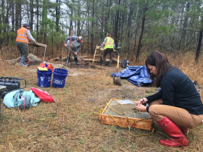 color photo of four people digging with woods in the background