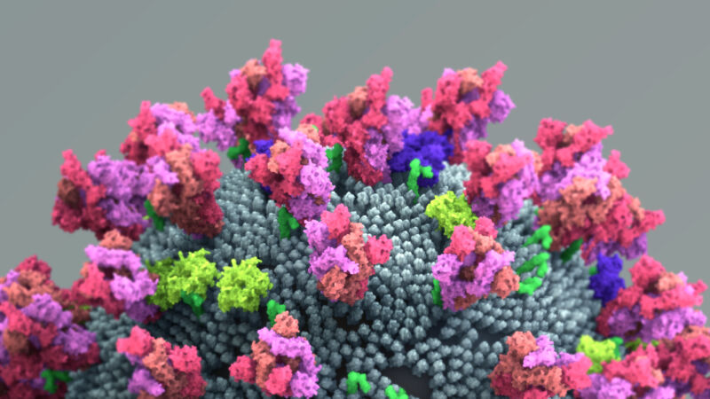 Computer generated graphical representation of the coronavirus.