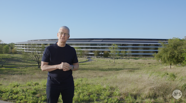 A casually dressed Tim Cook stands in a green field.