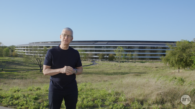 A casually dressed stands in a green field.