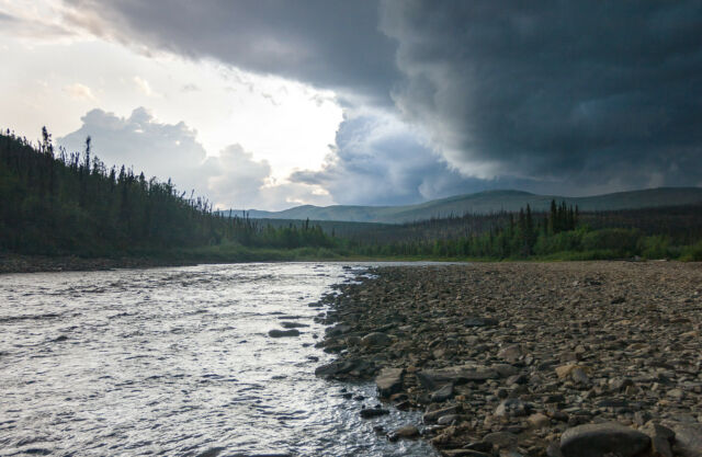A thunderstorm brings dark clouds over the bottom of Harrison Creek (Pitkas Bar), Birch Creek Wild, and Scenic River in the Steese National Conservation Area, Alaska.