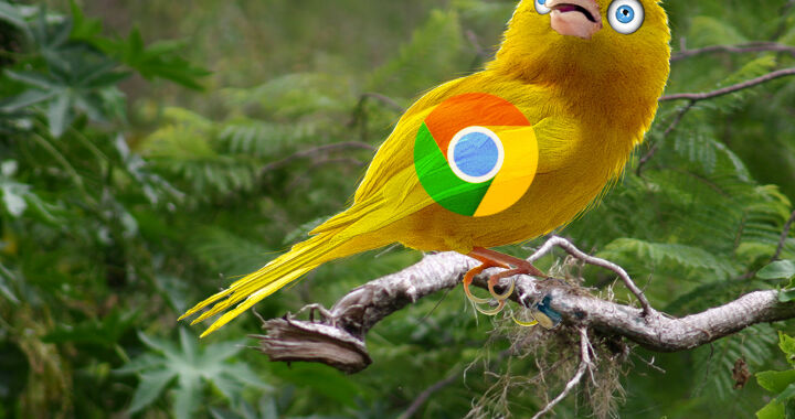 “Chrome Memories” – an early look at Google’s UI update to History