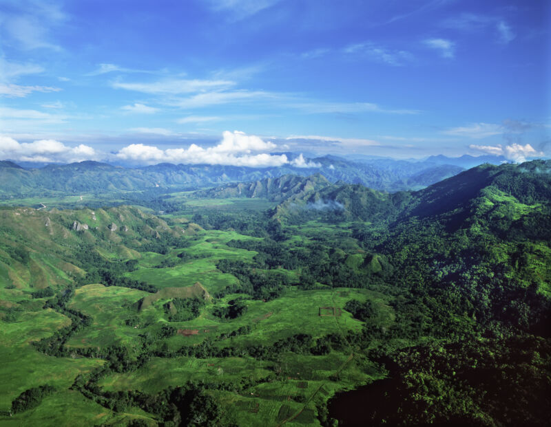 The highlands of Papua New Guinea.