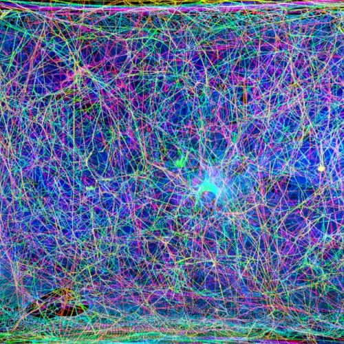 Spider Web Sructure Tag: spider webs - Ars Technica