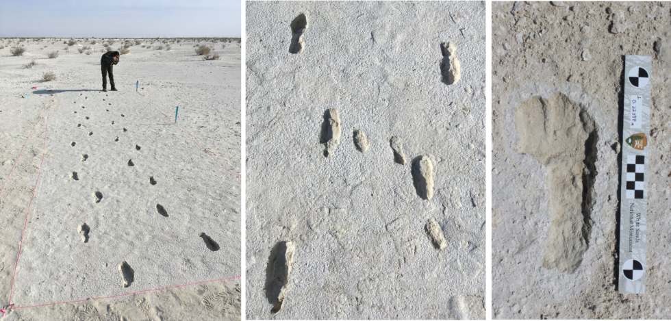 Fossilized Human Footprints At White Sands.