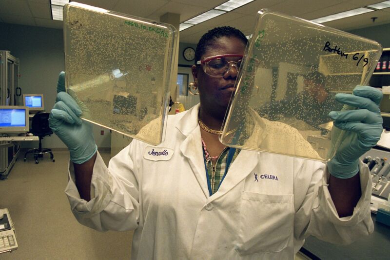 Image of a woman holding bacterial plates.