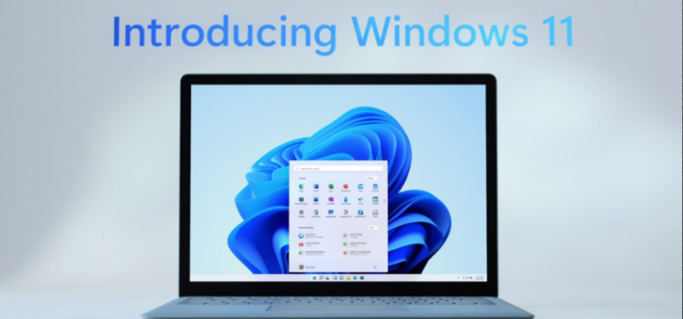 What's new with Microsoft Store on Windows 11?