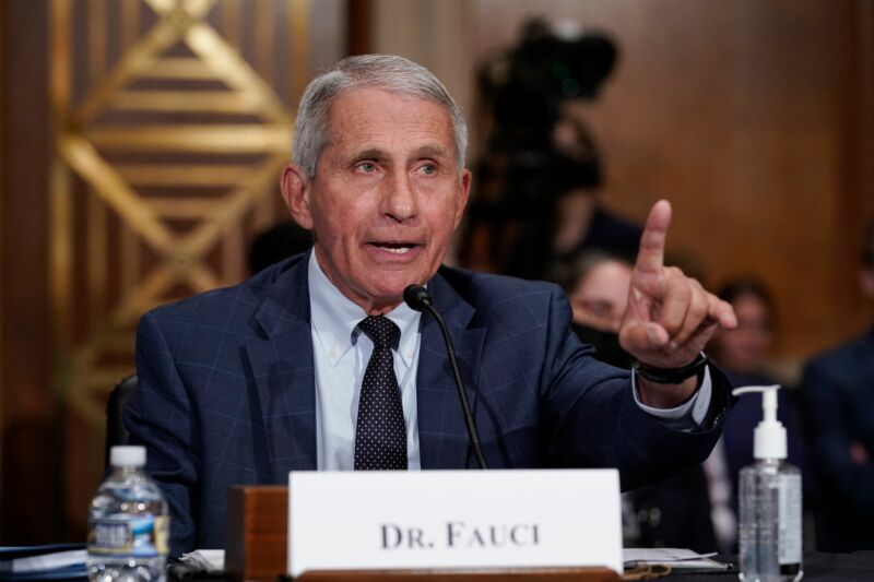 Dr.Anthony Fauci, director of the National Institute of Allergy and Infectious Diseases, during a Senate committee hearing on Capitol Hill in Washington, DC on July 20, 2021.