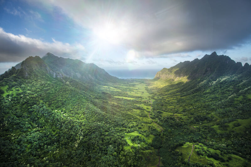 Image of a forest valley.