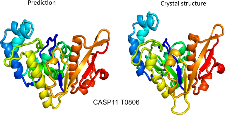 Image of two multicolored traces of complex structures.