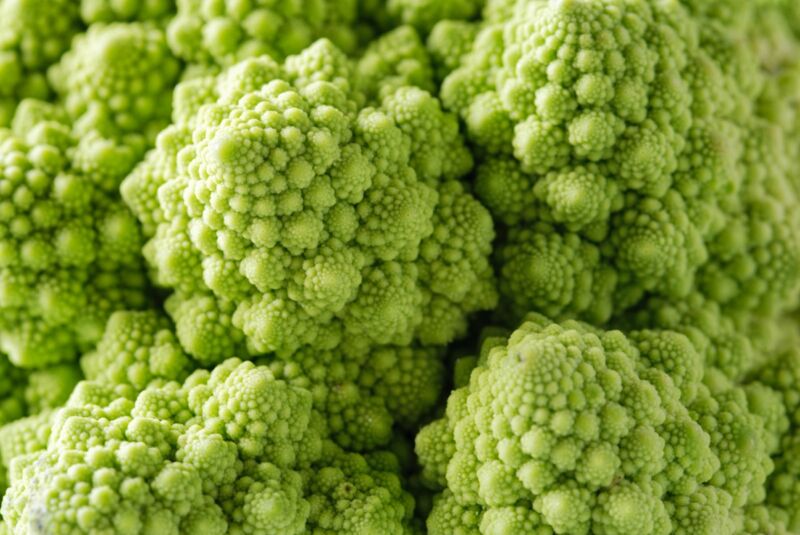 Macro photo of green Roman cauliflower showing the vegetables' striking fractal pattern.