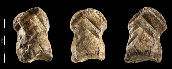 A Neanderthal carved a geometric design in bone 51,000 years ago