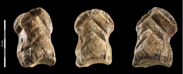 A Neanderthal Carved A Geometric Design In Bone 51,000 Years Ago