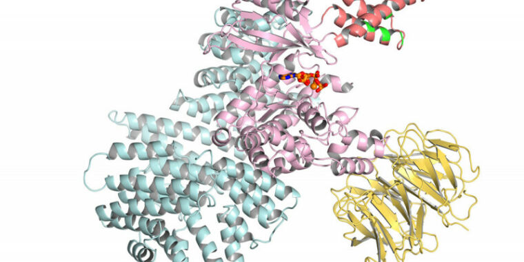 Just one week after Google's DeepMind AI group finally described its biology efforts in detail, the company is releasing a paper that explains how it 