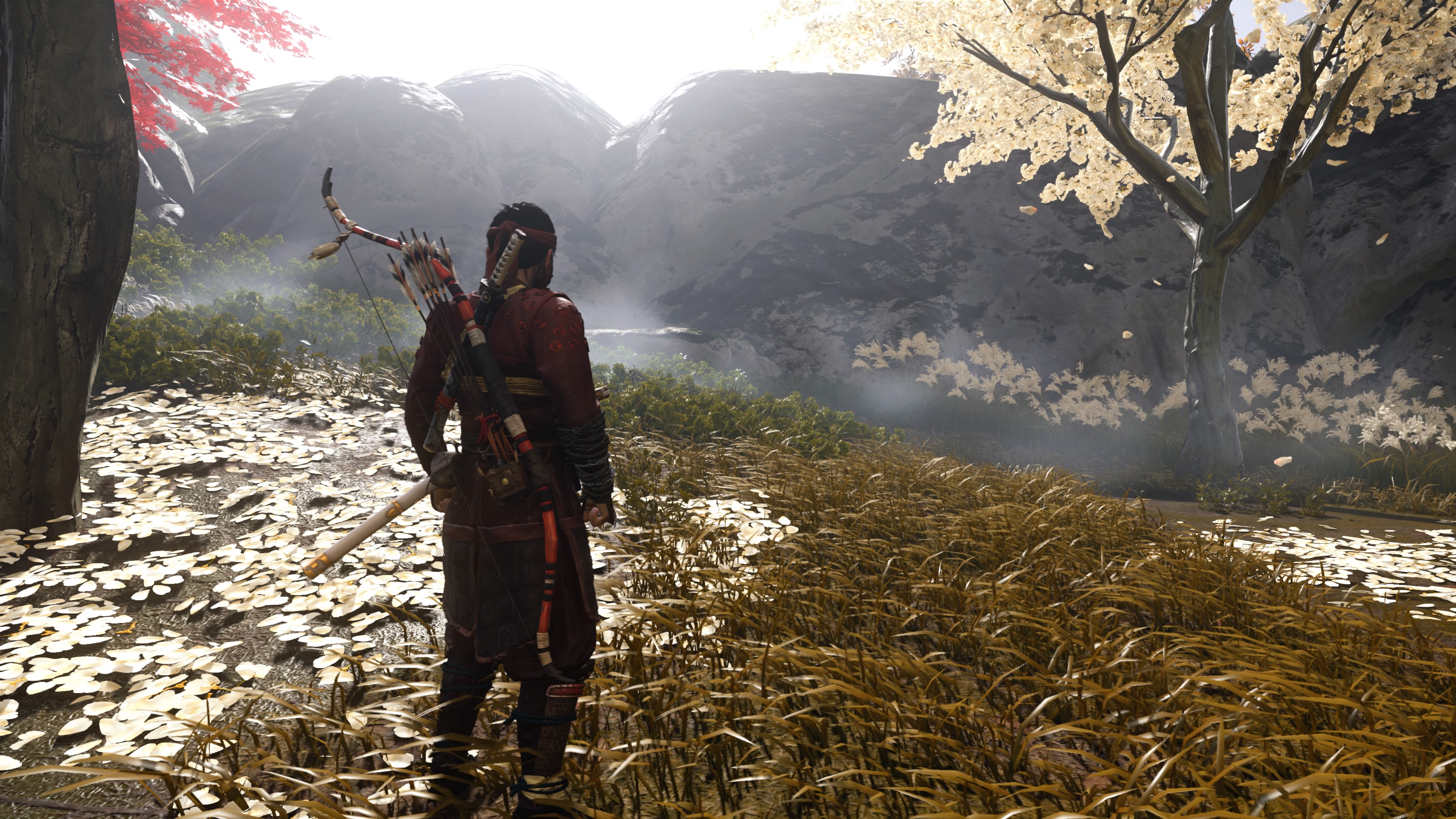 Ghost of Tsushima Director's Cut: Reflections, both literal and