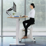 wfh desk bike