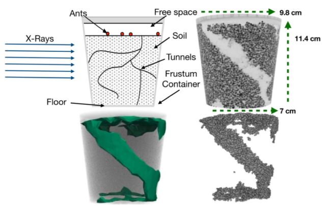Upper left: The experimental design. Upper right: X-ray image of a completed tunnel. Lower left: Fitting a model of removed particles. Lower right: Digital recreation of the particles removed by ants in initial location.