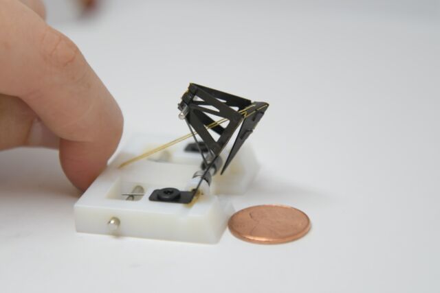 Check out the strike of a 1.5-gram, shrimp-scale robot. 