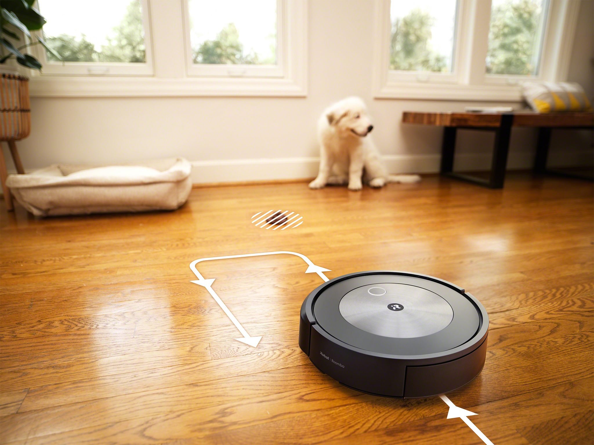 Roomba's Long, Bumpy Path From Prototype to Your Living Room